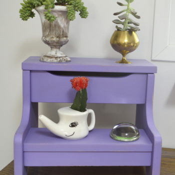 Repurposed Step Stool Makeover Into A Plant Stand ambientwares.com